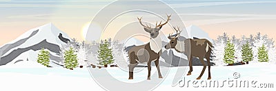 A pair of reindeer on a snowy northern plain near the spruce forest. Mountains on the horizon. Wild animals of the North, USA, Can Vector Illustration